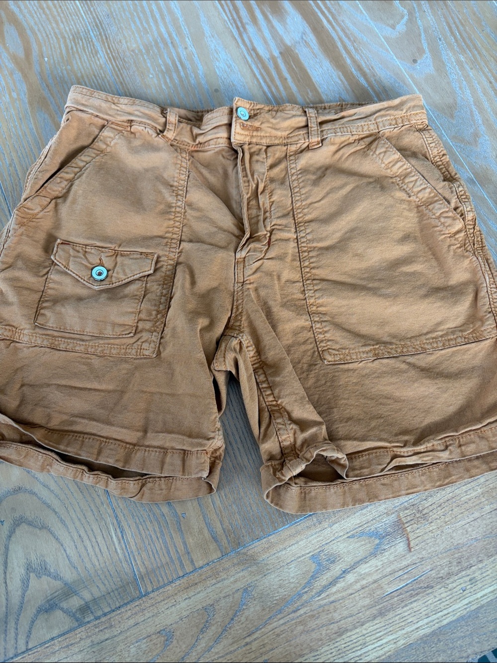Anthropologie Rust-Tan Cargo Shorts